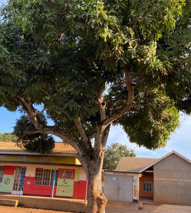 WhatsApp Image 2022-11-02 at 11.37.34 AM 4.jpeg